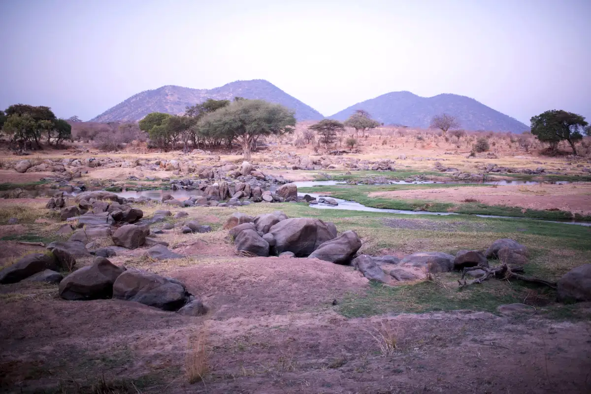 6 Days Safari to Southern Tanzania Circuit